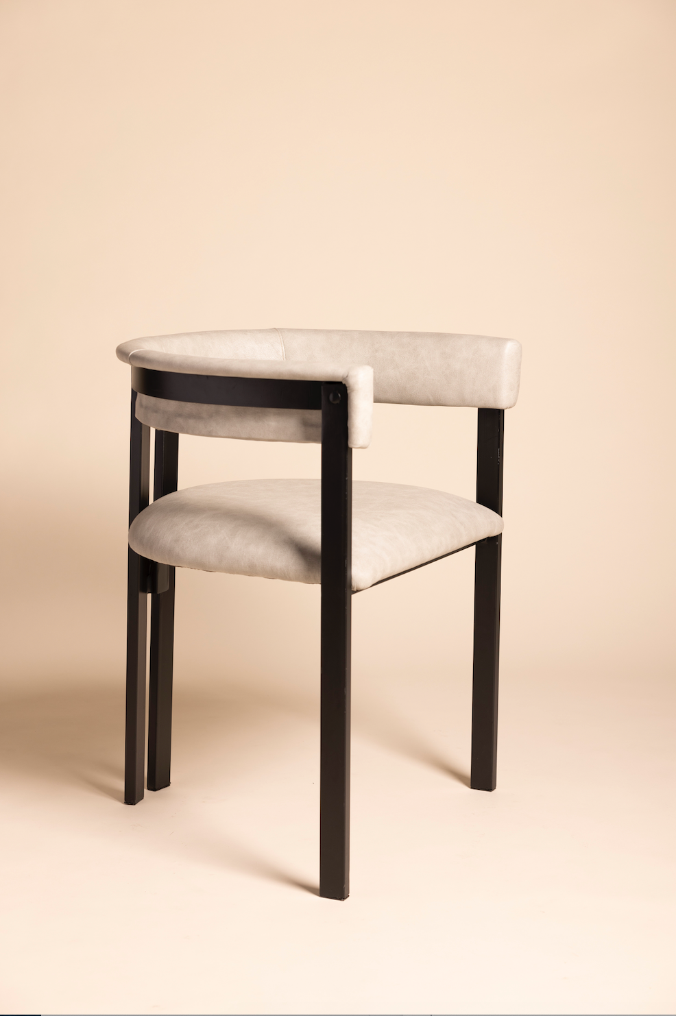 Ant Dining Chair