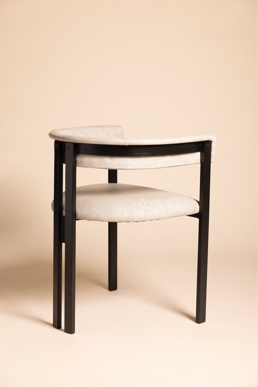 Ant Dining Chair